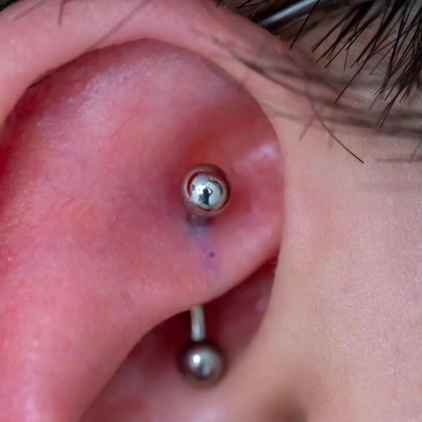 Rook Piercing - Image 42